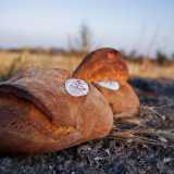 Il pane di Altamura (foto di Nikotota)
